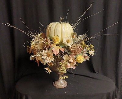 AF Pumpkin Silk Display 7