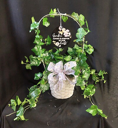 Ivy Plant with Hanging Metal Plaque